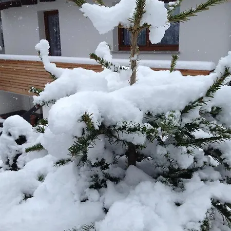 Kopp Apartment Fuegen